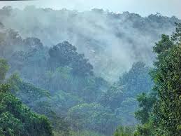 Bukit Lanjan Mist